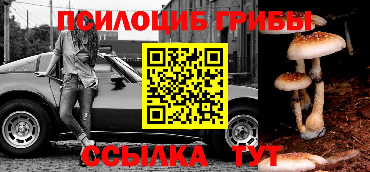 Галлюциногенные грибы ЛСД Урус-Мартан